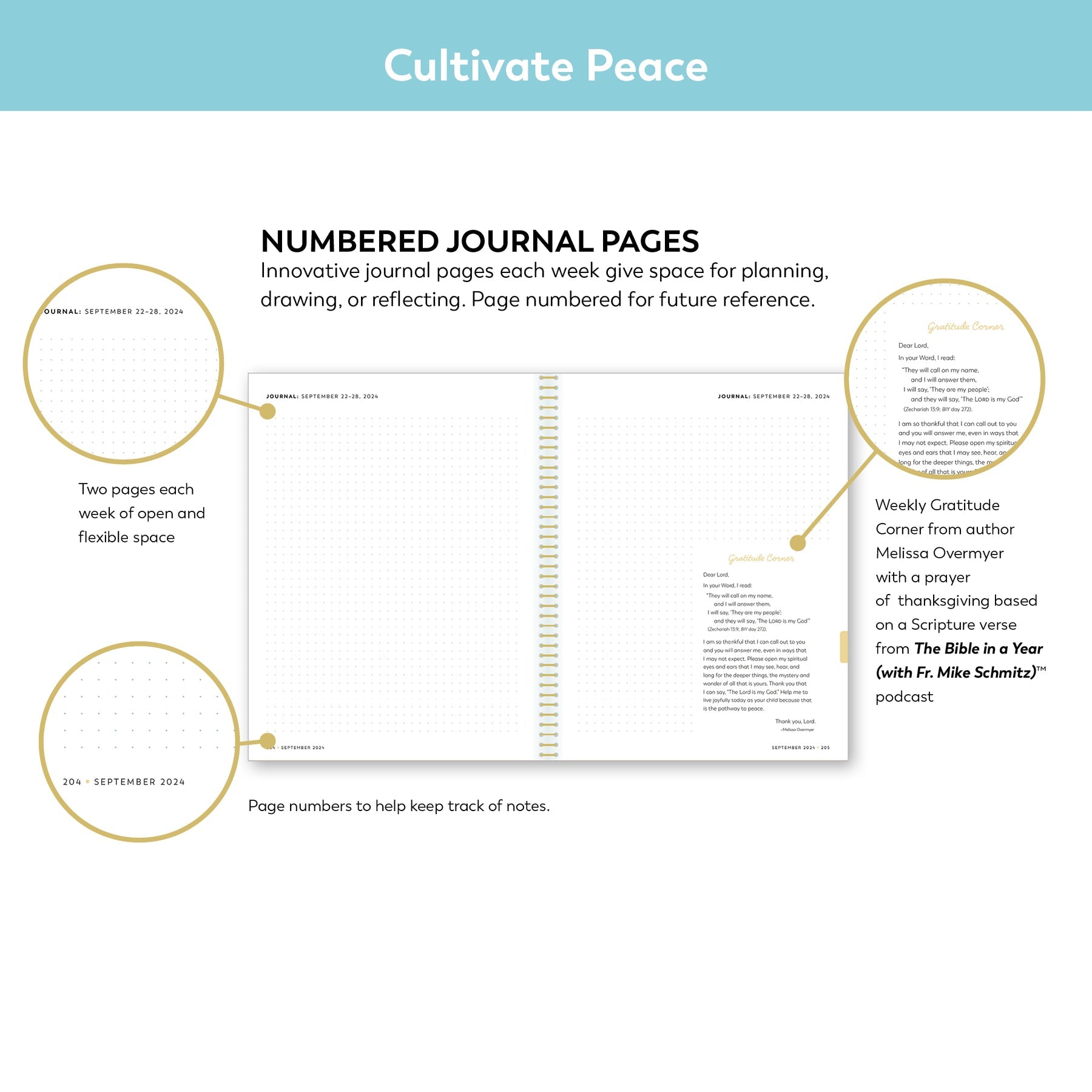 Ascension Planner 2024: A Tool for Catholic Daily Living