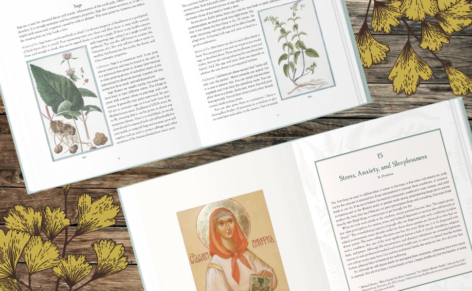 Herbs that Heal (Catholic) Home Remedies to Forage and Grow