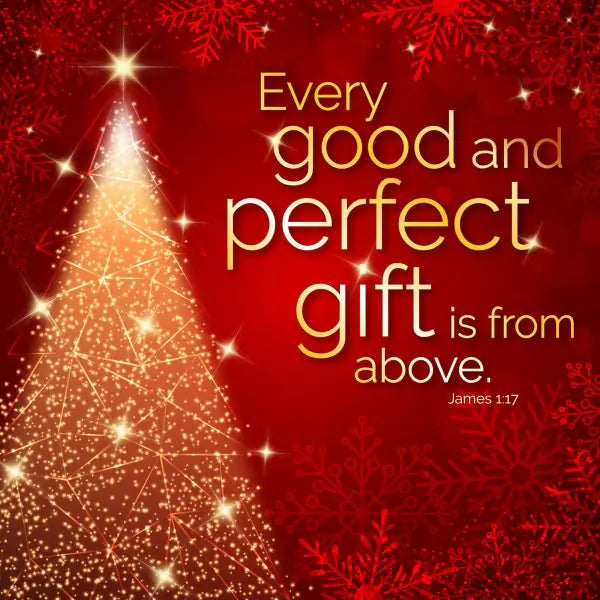 Christmas Card Perfect Gift