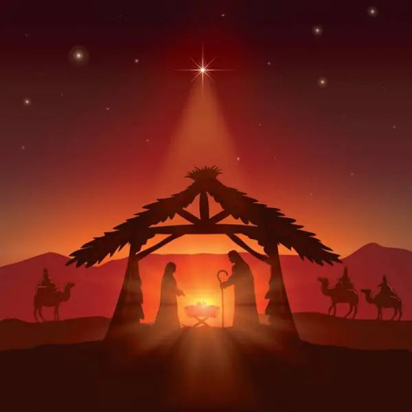 Christmas Card Stable