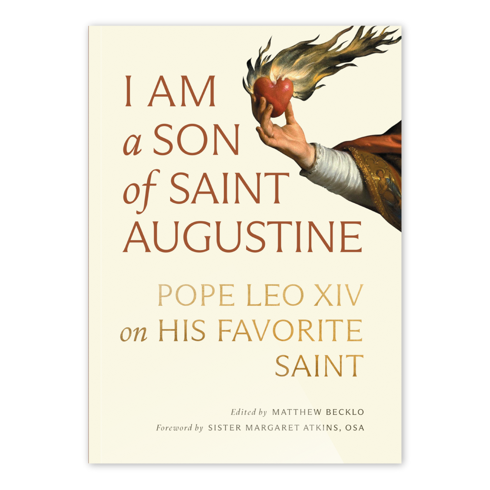 I am a Son of Saint Augustine-Pope Leo XIV on His Favorite Saint
