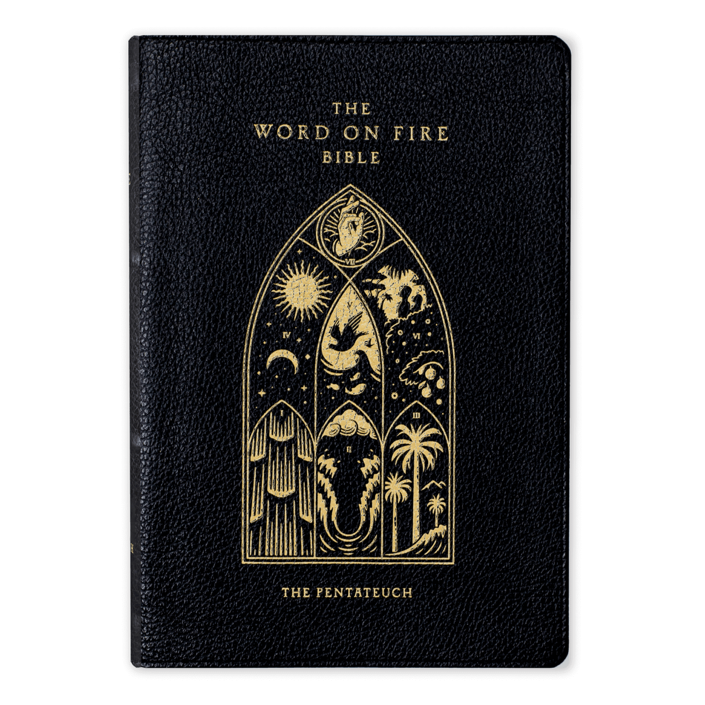 Word on Fire Bible (Volume III) The Pentateuch
