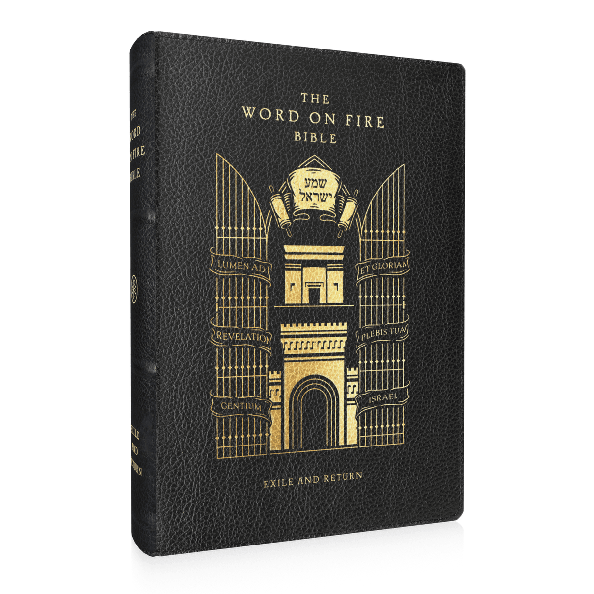 Word on Fire Bible: Exile and Return Hardcover
