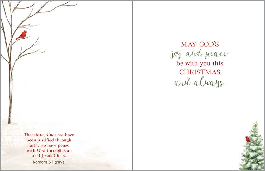 Box/Pack Scripture Christmas Card - Snowy Church