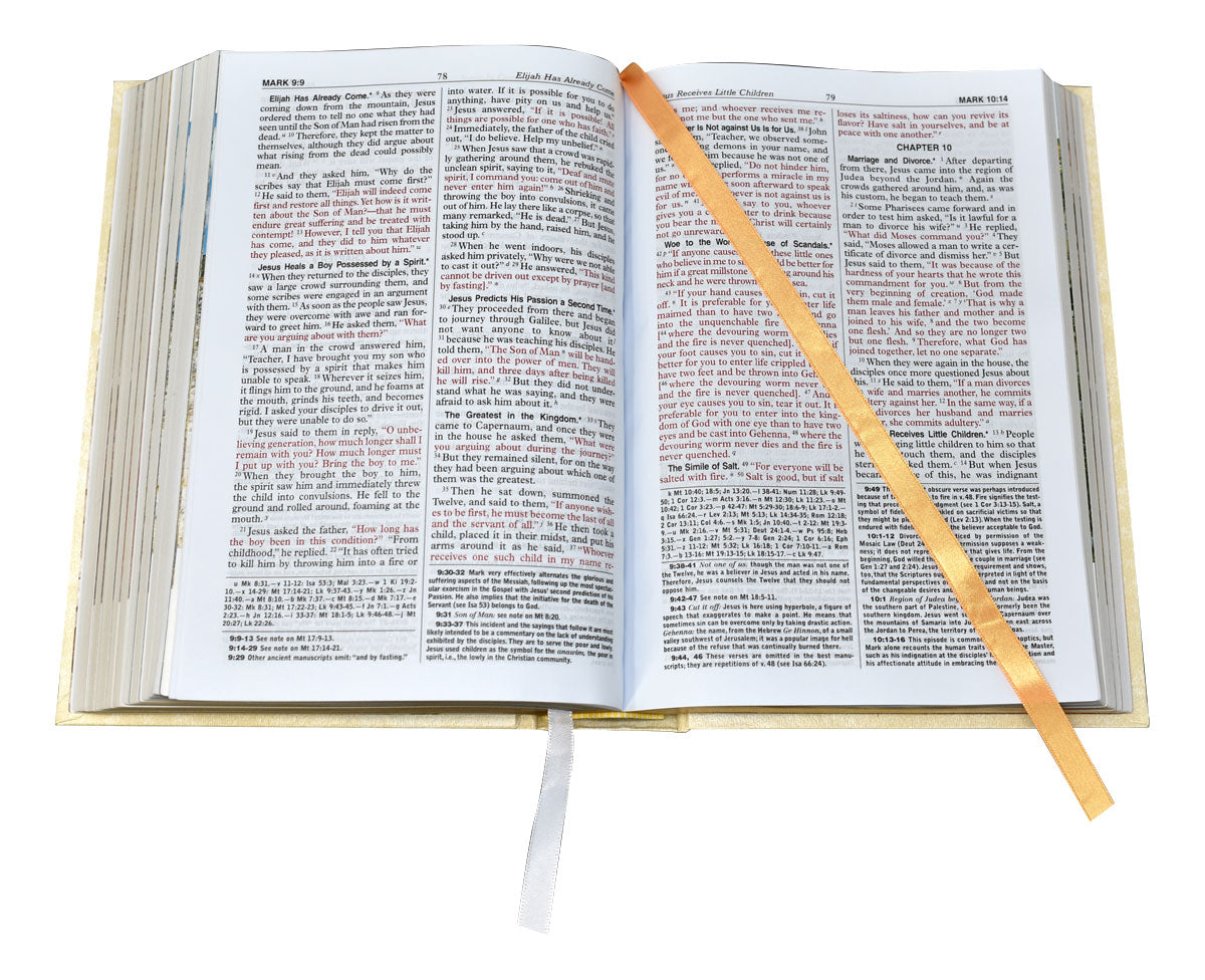 St. Joseph New Catholic Family Bible (Large Type) - Padded