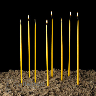 Orthodox Tapers 100% 1/4 x 11