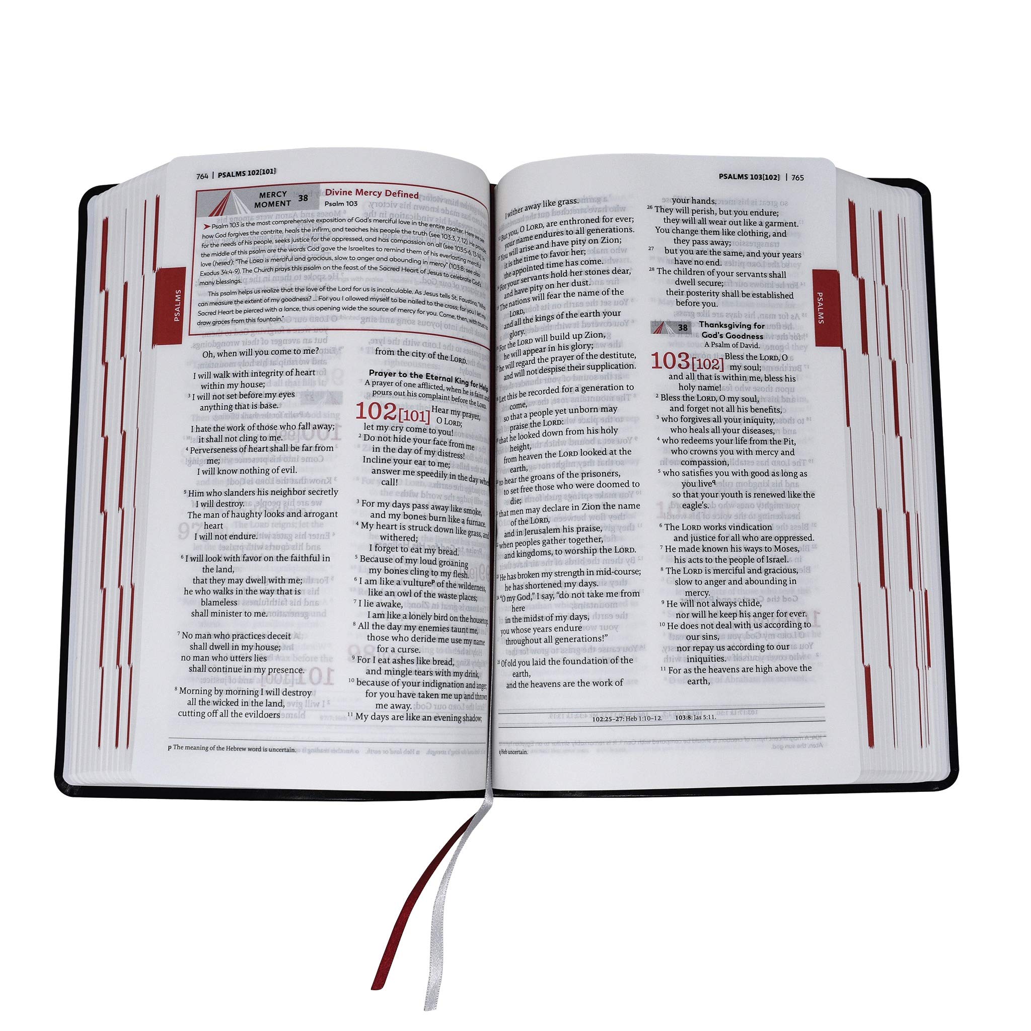 Divine Mercy Catholic Bible