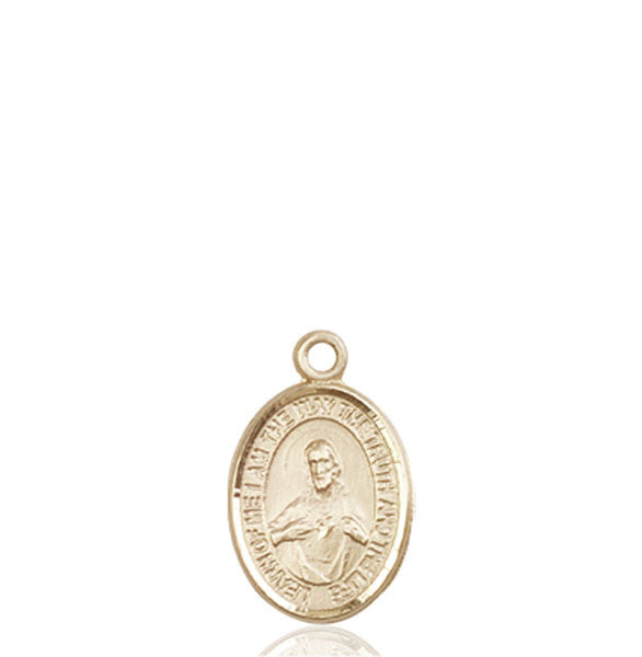 14kt Gold Scapular Medal