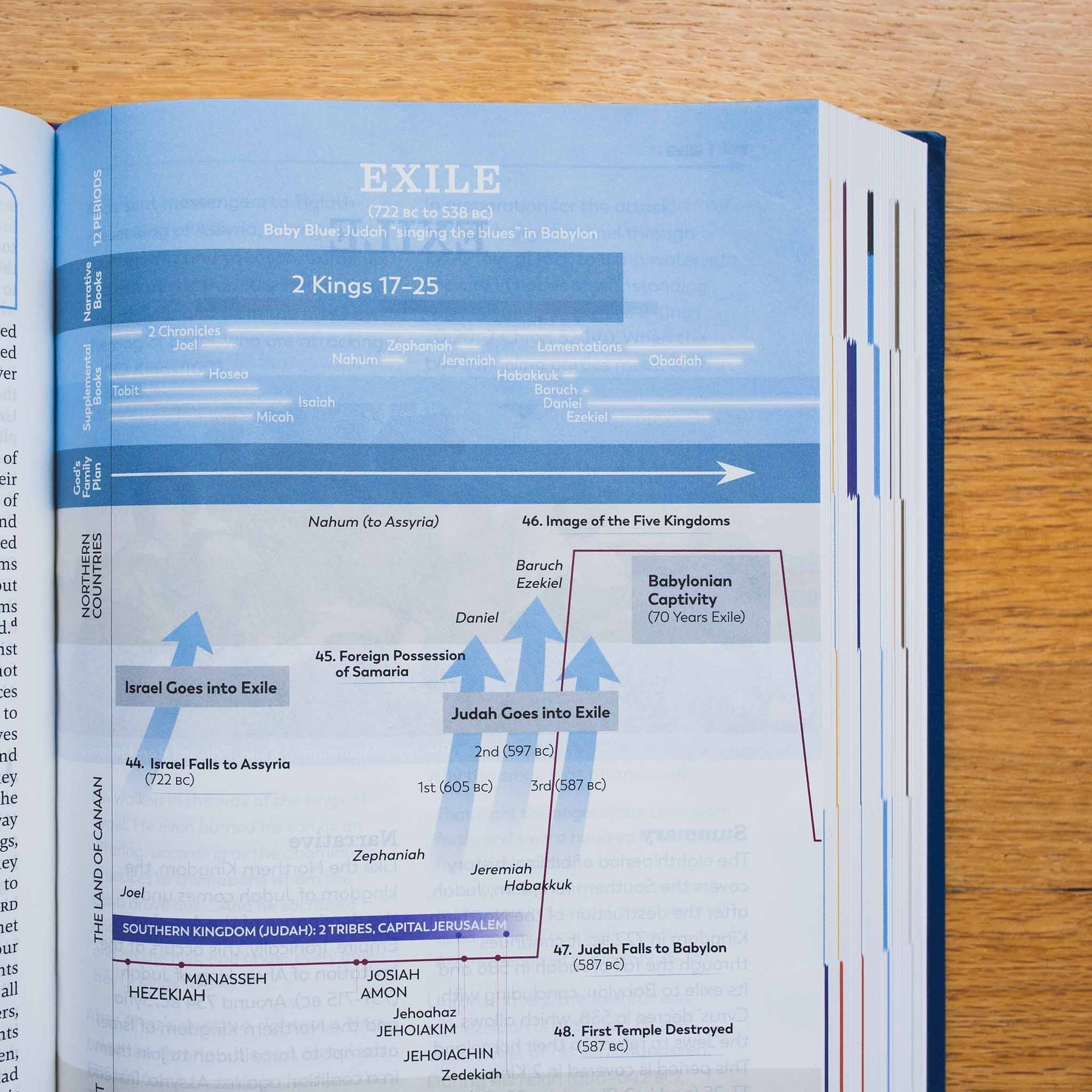 Great Adventure Catholic Bible (Large Print)