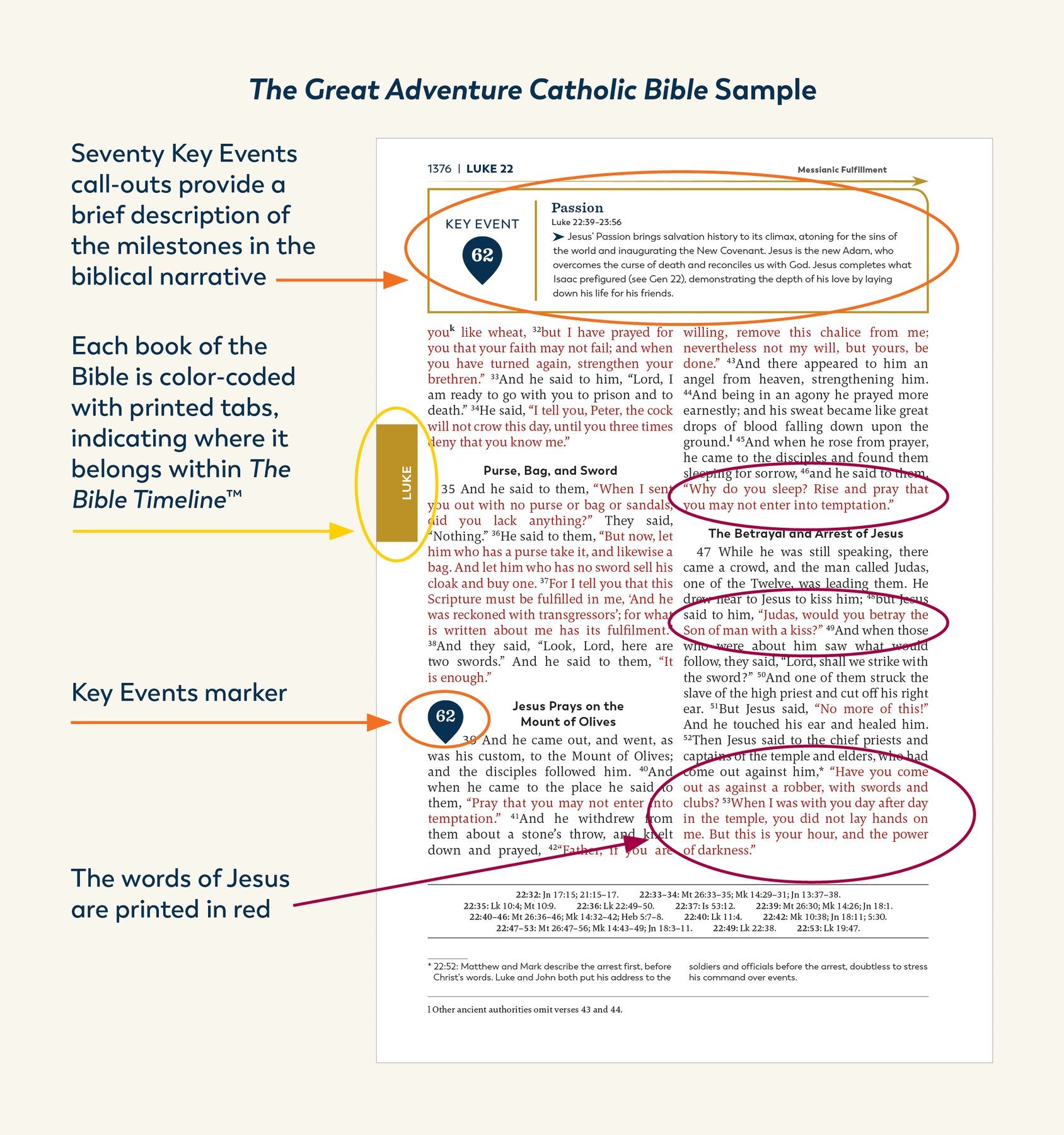 Great Adventure Catholic Bible
