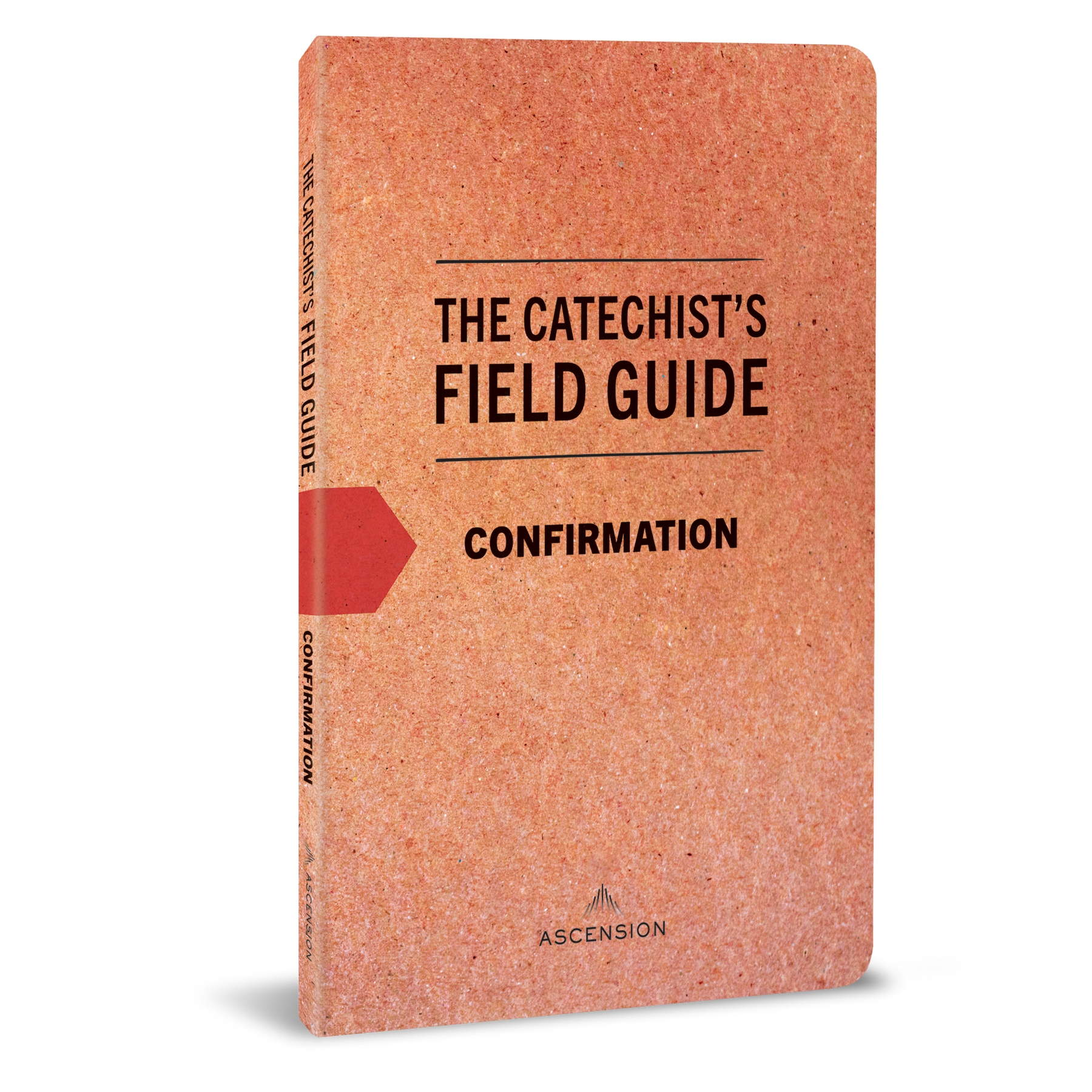 Catechist's Field Guide to Confirmation