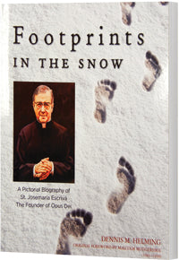 Footprints in the Snow