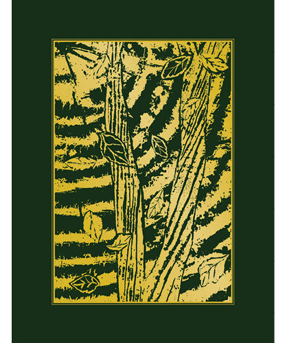 The Sunday Lectionary: Year A