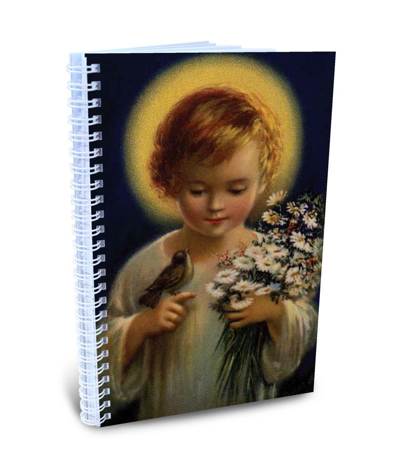 Vita Mundi Journal