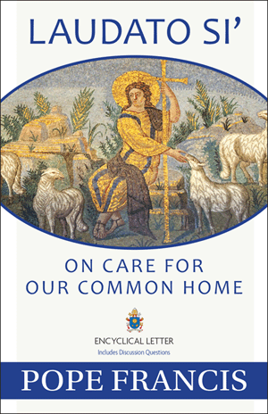 On Care for Our Common Home (Laudato Si’)
