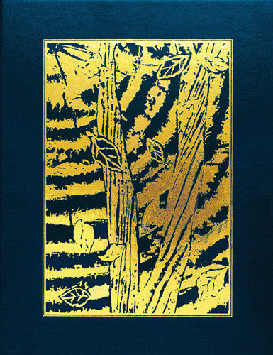 Weekday Lectionary: Volume IV