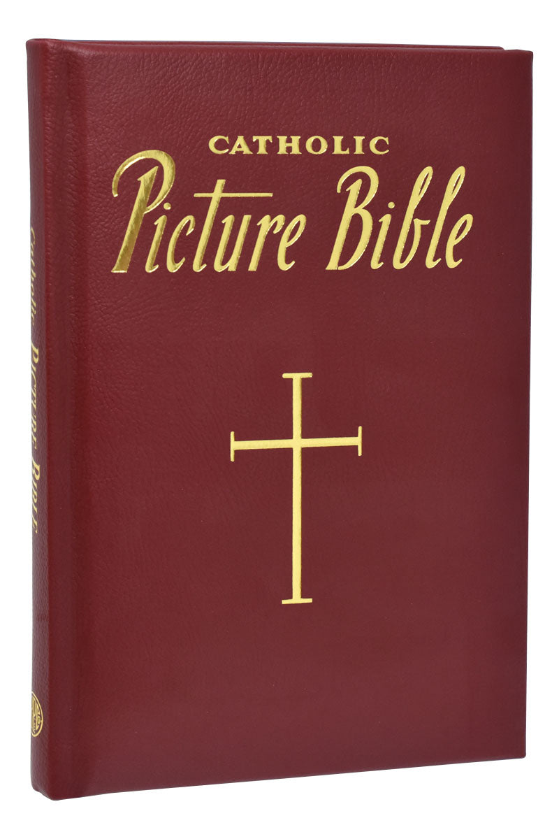 New Catholic Picture Bible