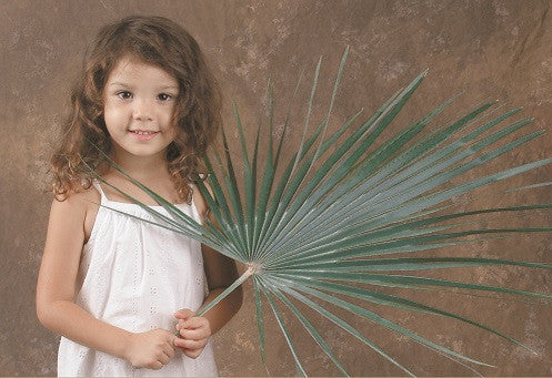 Mediterranean Fan | Palm Altar Decorations (Bag of 8)