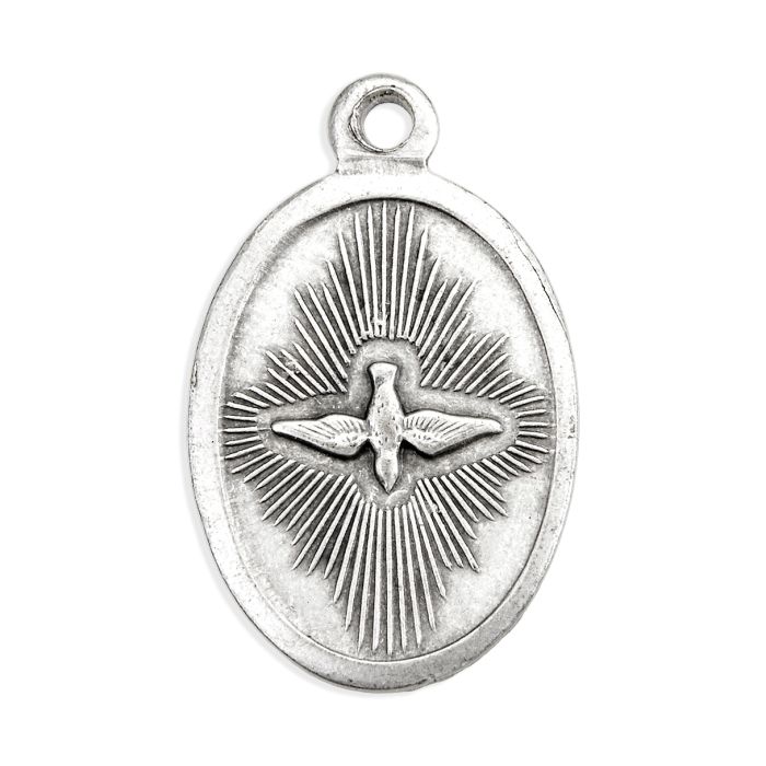 Holy Spirit Pray For Us