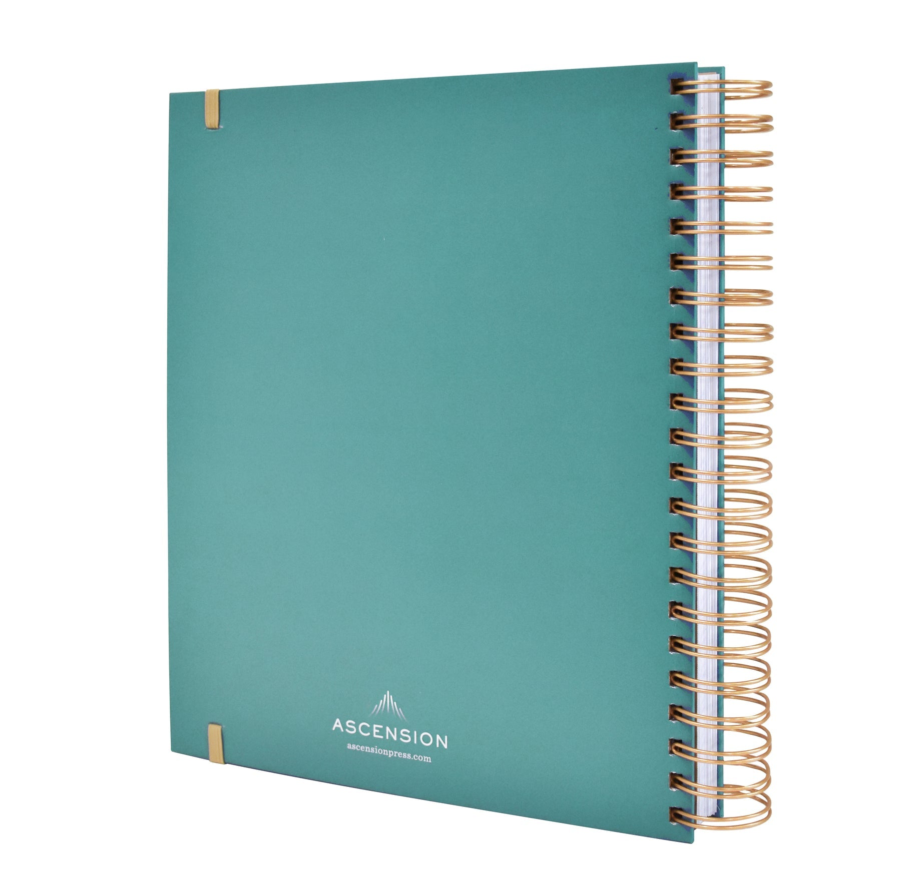 Ascension Planner 2025: A Tool for Catholic Daily Living (Copy)