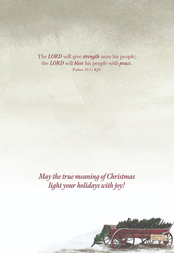 Shared Blessing Country Boxed Christmas Cards