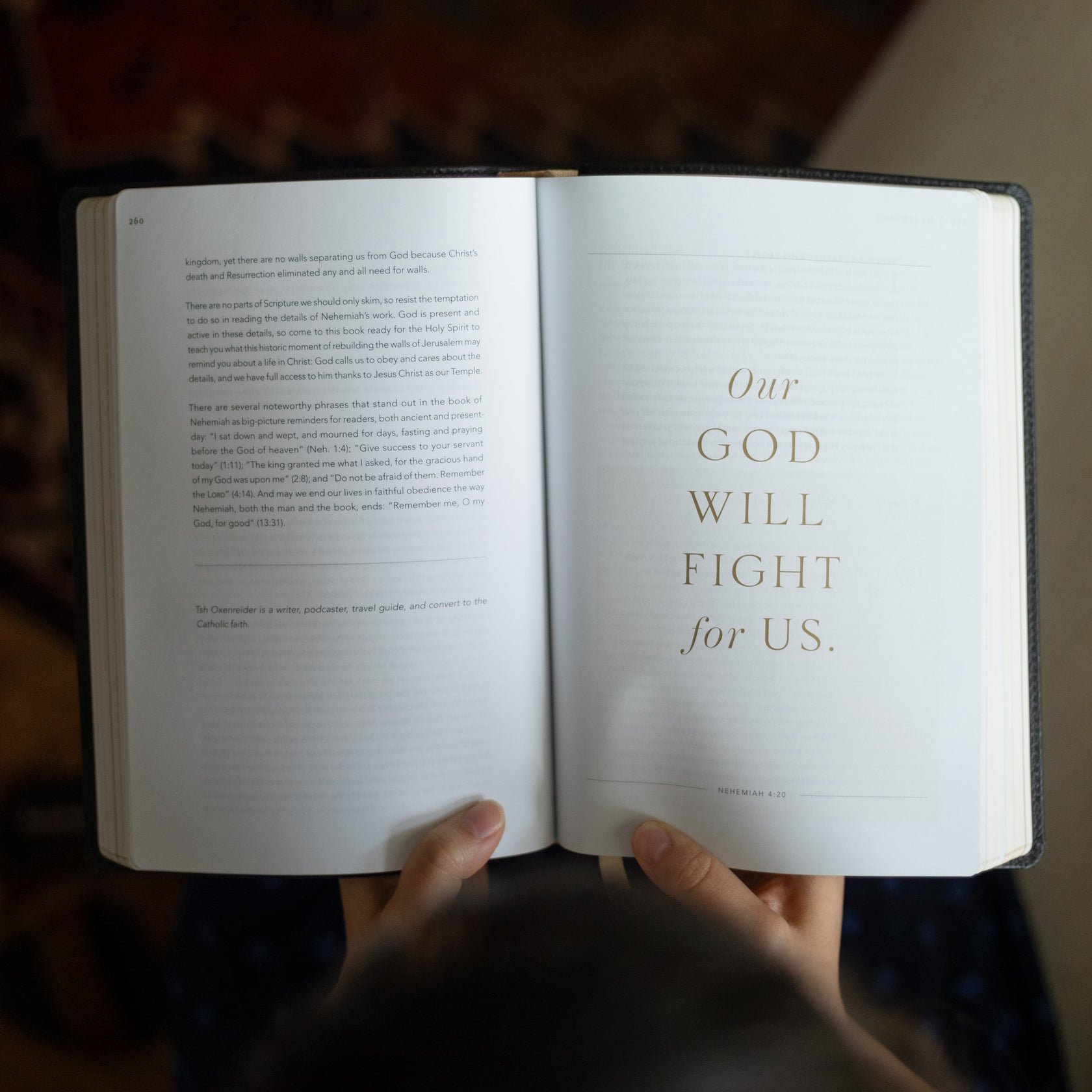 Word on Fire Bible: Exile and Return Leather
