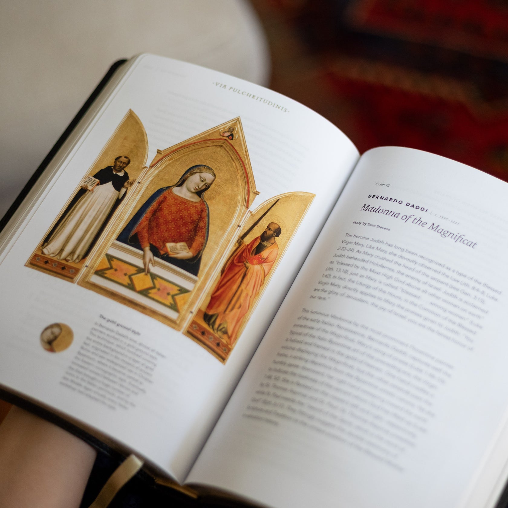 Word on Fire Bible: Exile and Return Leather