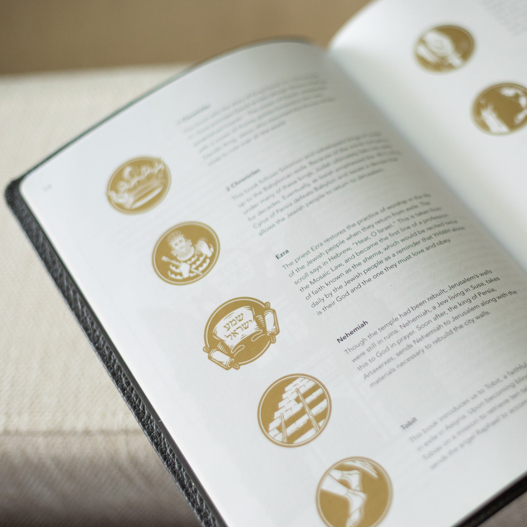 Word on Fire Bible: Exile and Return Leather