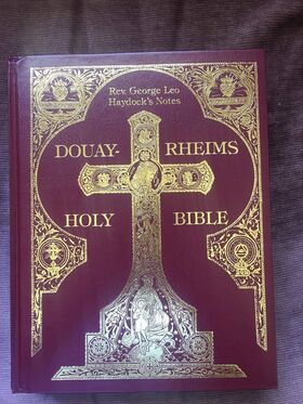 Santa Biblia de Douay y Reims