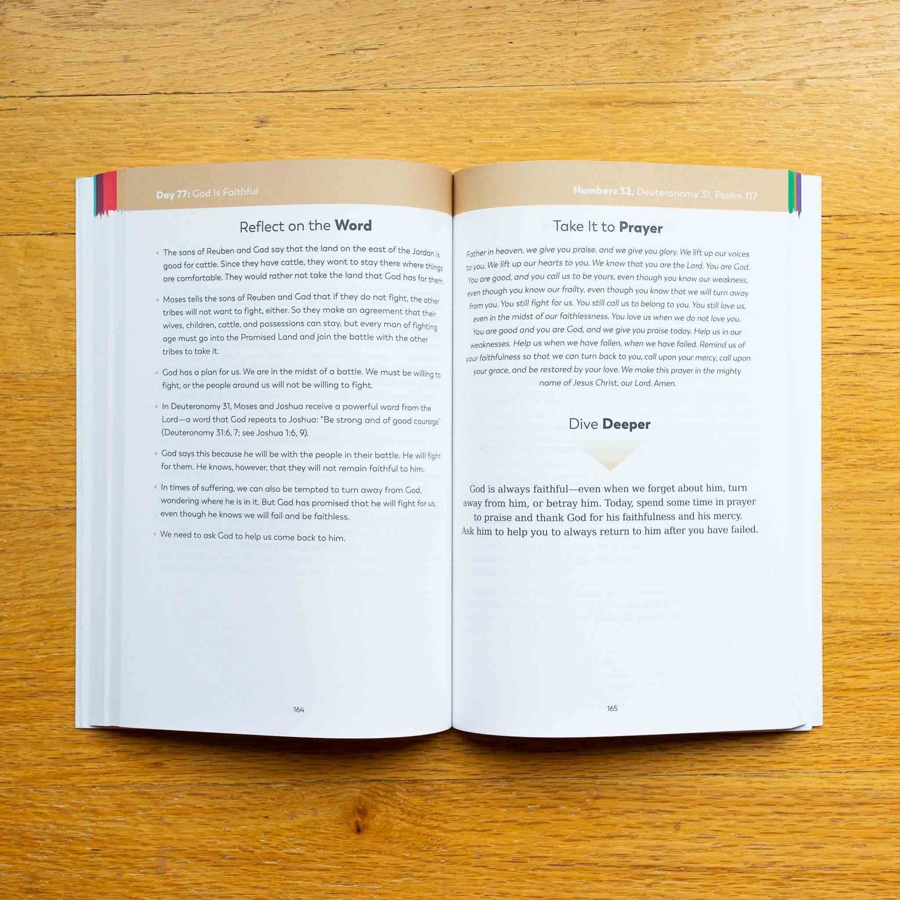 The Bible in a Year Companion Volume I