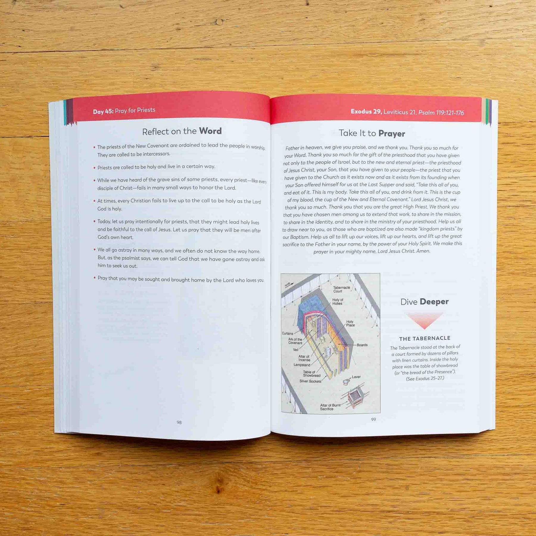 The Bible in a Year Companion Volume I