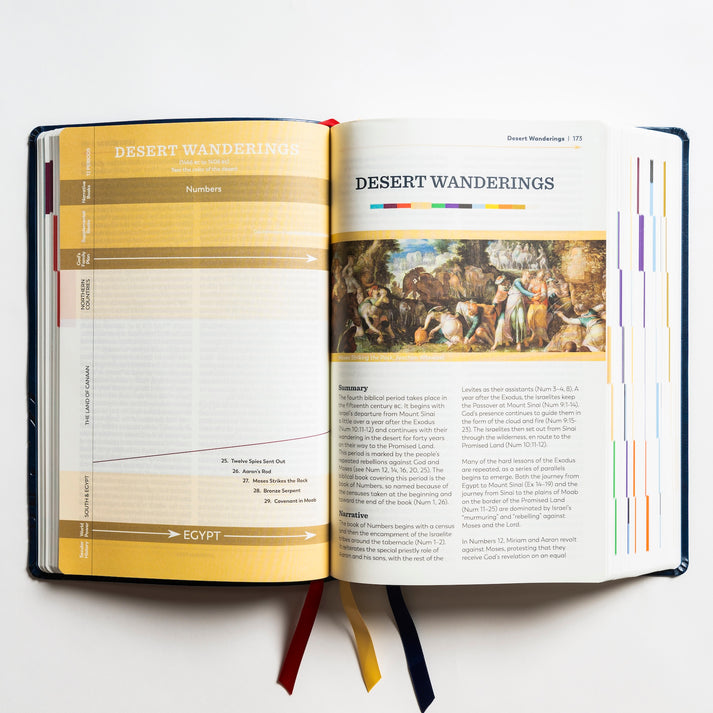 Holy Bible – The Great Adventure Catholic Bible, Second Edition [Large Print - Leatherlike]