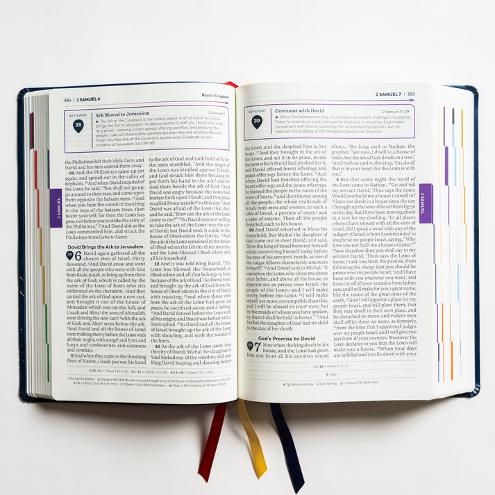 Holy Bible – The Great Adventure Catholic Bible, Second Edition [Large Print - Leatherlike]