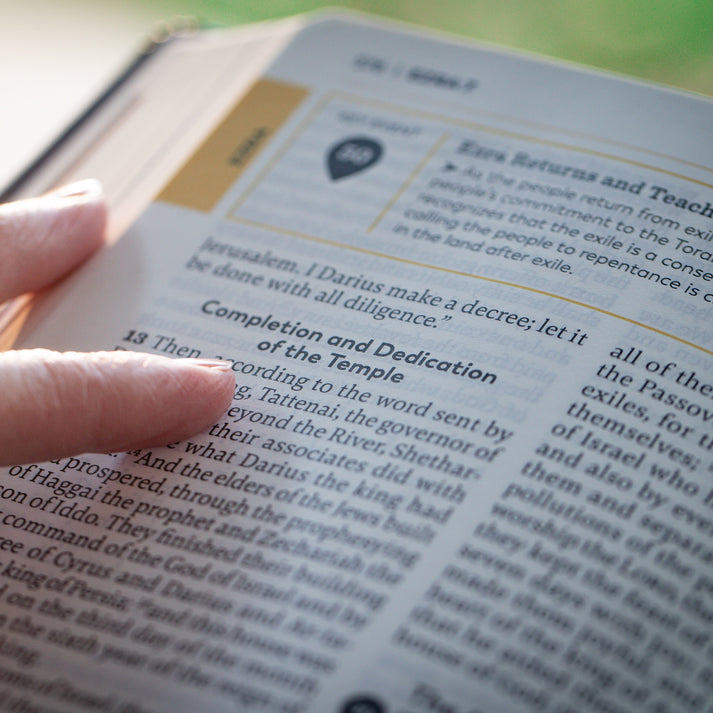 Holy Bible – The Great Adventure Catholic Bible, Second Edition [Large Print - Leatherlike]