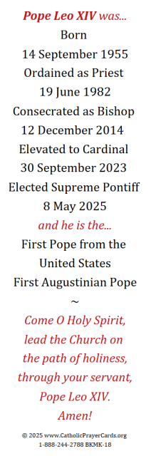 Pope Leo XIV Bookmark