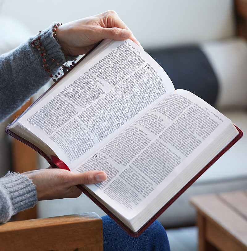 NRSV Catholic Bible Large Print Brown Leasthersoft