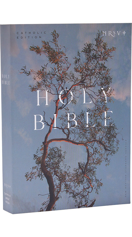 Holy Bible Catholic Edition NRSV