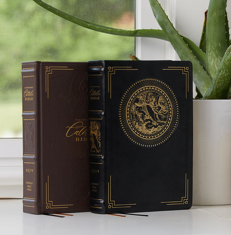 Illustrated Catholic Bible