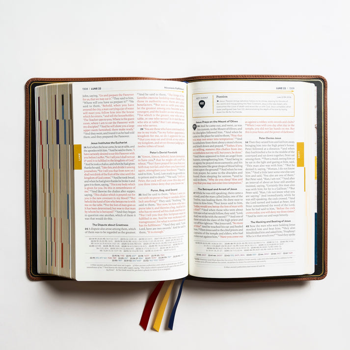 Holy Bible – The Great Adventure Catholic Bible, Second Edition [Premium - Leather]