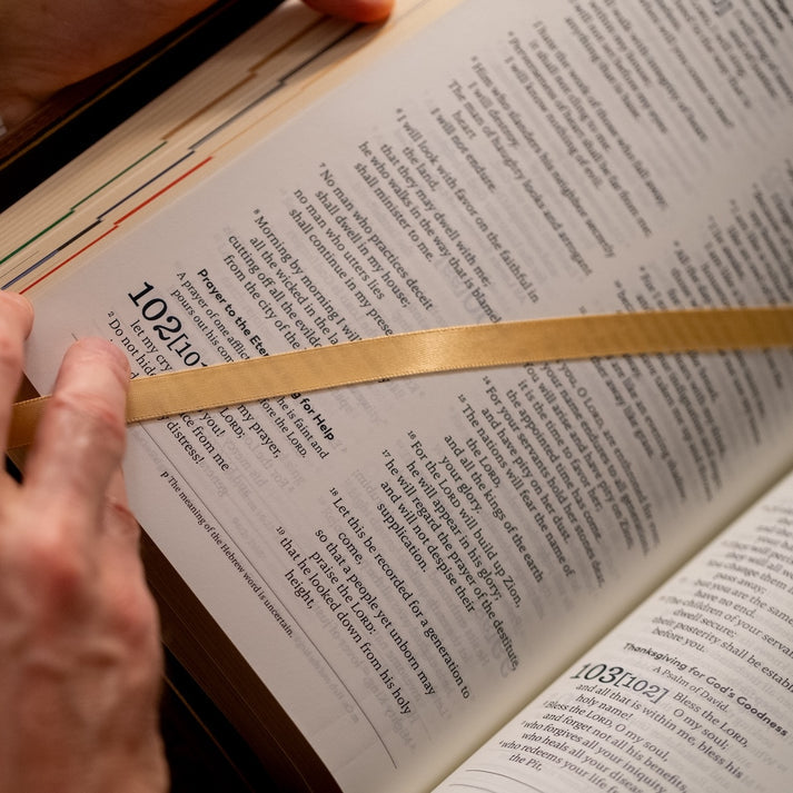 Holy Bible – The Great Adventure Catholic Bible, Second Edition [Premium - Leather]