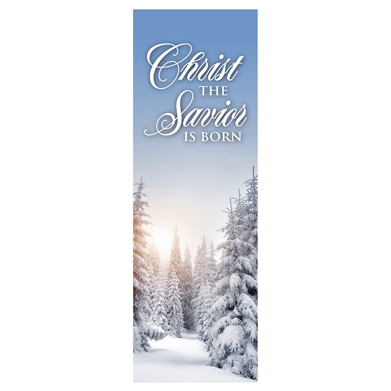 2x6 Banner Christ the Savior