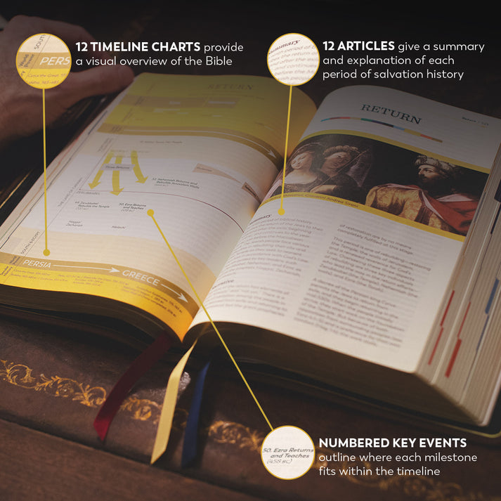 Holy Bible – The Great Adventure Catholic Bible, Second Edition [Premium - Leather]