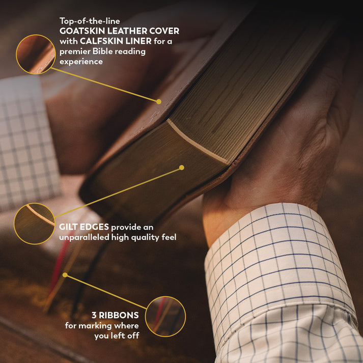 Holy Bible – The Great Adventure Catholic Bible, Second Edition [Premium - Leather]