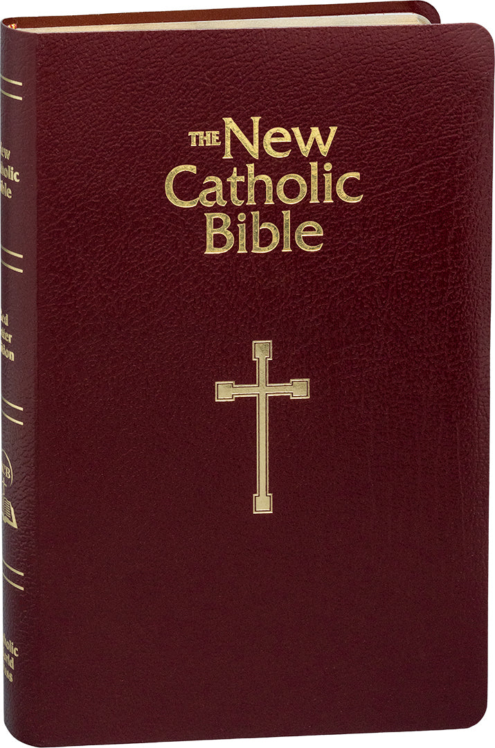 New Catholic Bible Gift & Award Edition