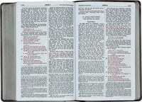 New Catholic Bible Gift & Award Edition