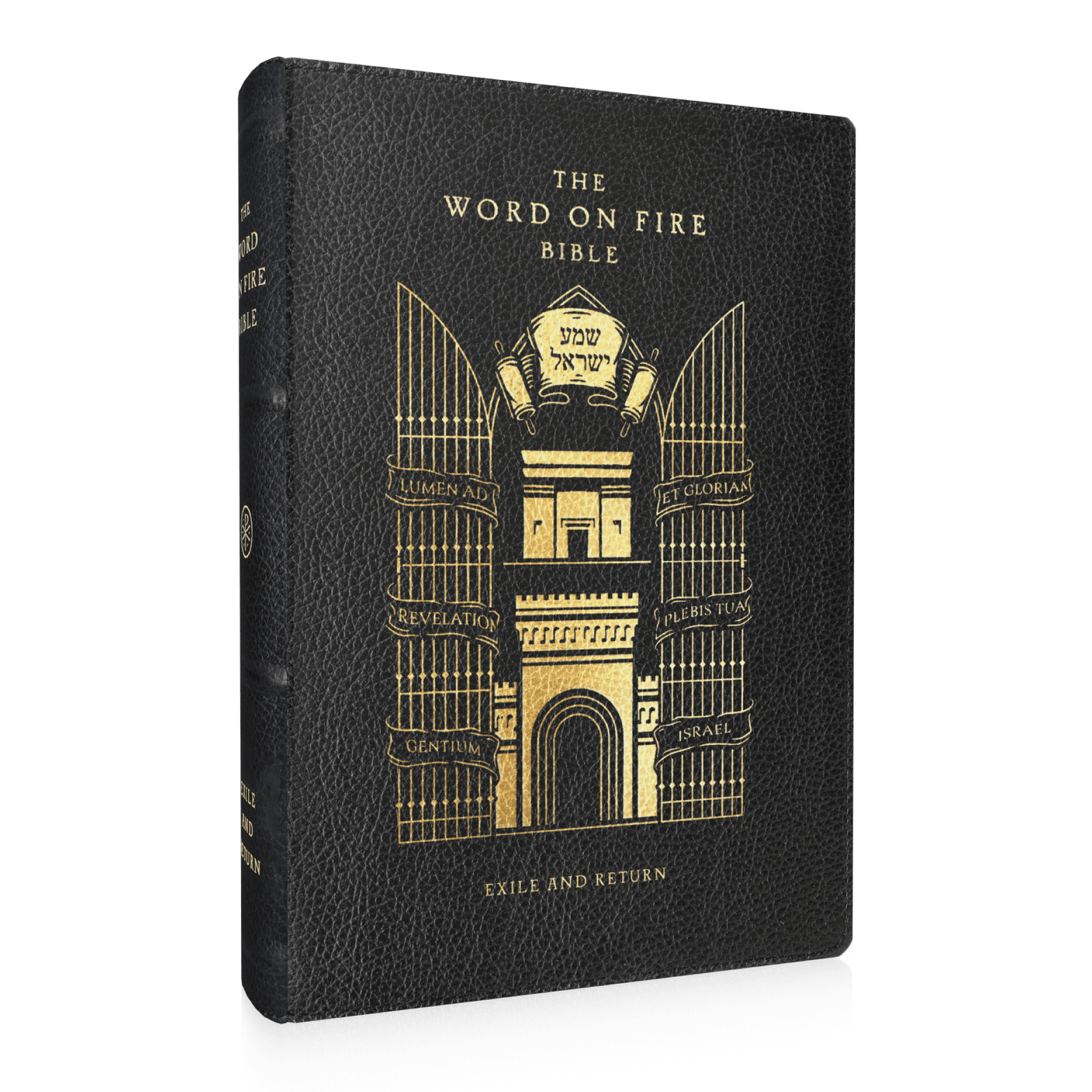Word on Fire Bible: Exile and Return Hardcover