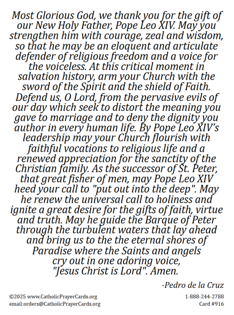 Pope Leo XIV holy card