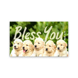 Bless You, Numbers 6:24