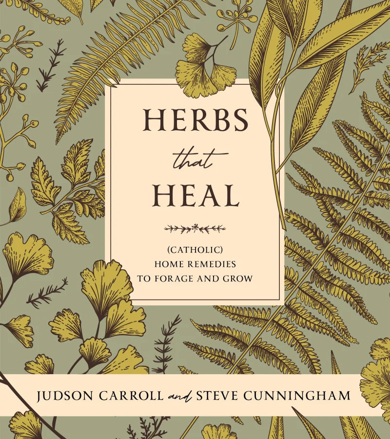 Herbs that Heal (Catholic) Home Remedies to Forage and Grow