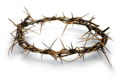 Crown Of Thorns